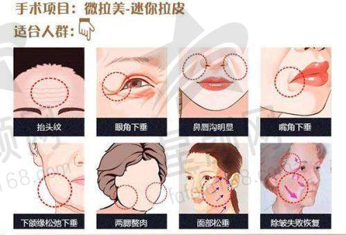 成立信息与经营范围
