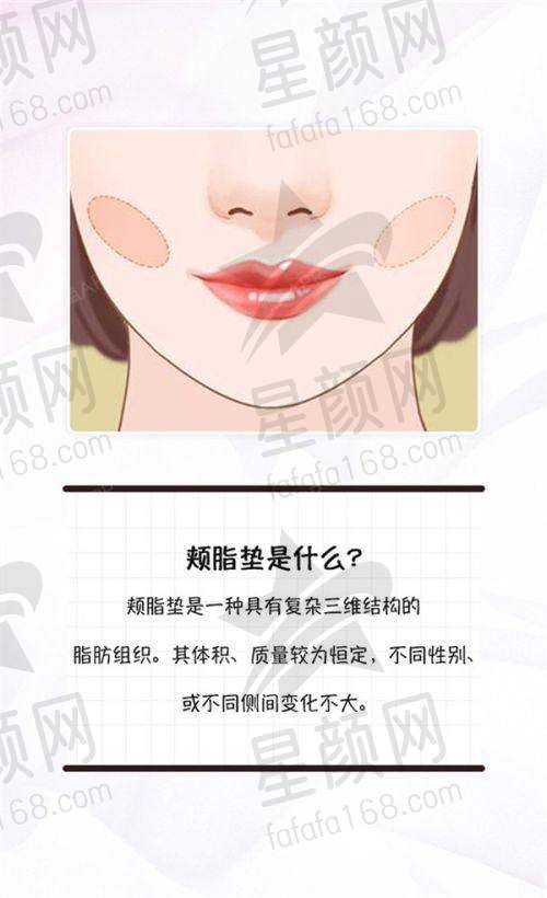 优质服务与良好口碑