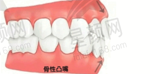 医生团队