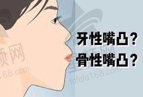 三、地址及交通