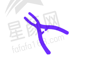 上海科瓦口腔地址与交通