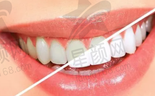 专精的医生团队